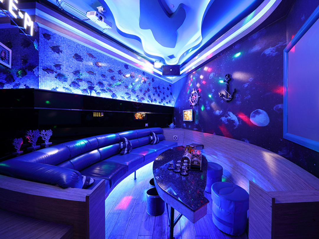 Karaoke System